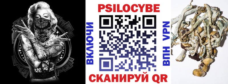 хочу наркоту  Ядрин  Галлюциногенные грибы ЛСД 